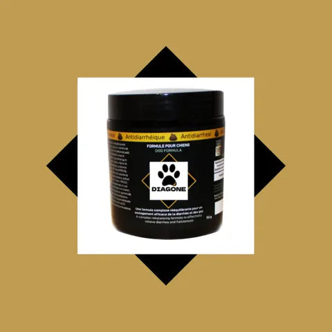 Diagone (soulagement diarrhée & santé digestive)