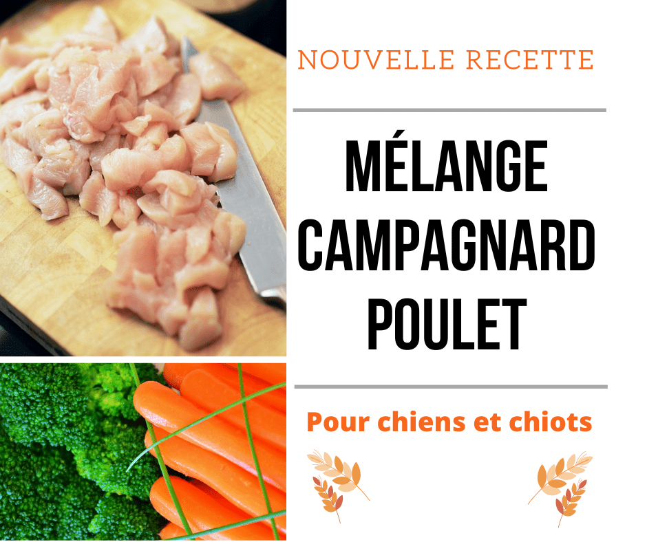 Mélange Campagnard Poulet