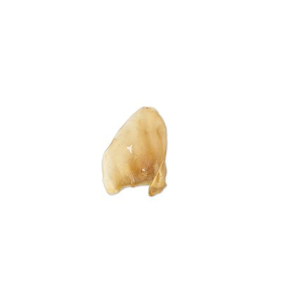 Oreille de vache
