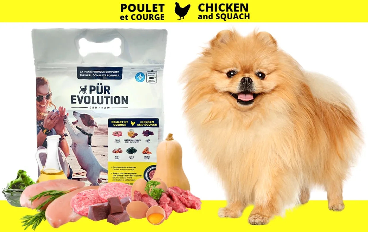 Poulet et Courge