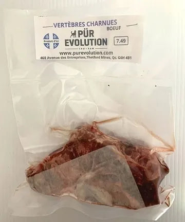 Vertèbre charnue