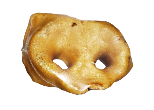Nez porc fumé