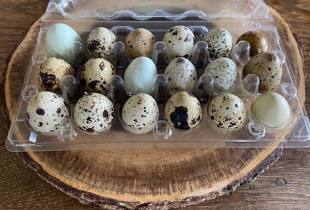 Oeufs de caille congelés