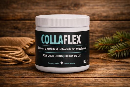 Collaflex