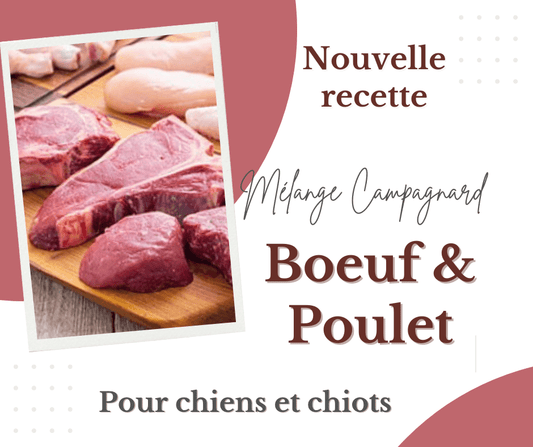 Mélange Campagnard Boeuf & Poulet