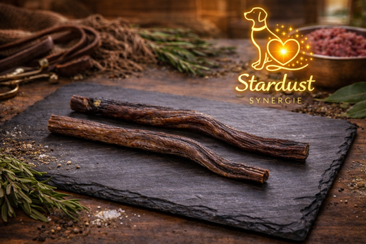 Bully stick de boeuf