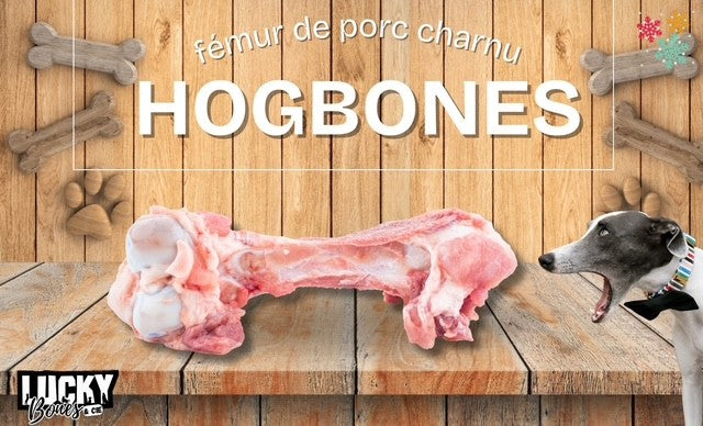 Fémur de porc cru congelé