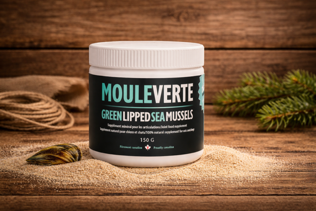 Moule verte