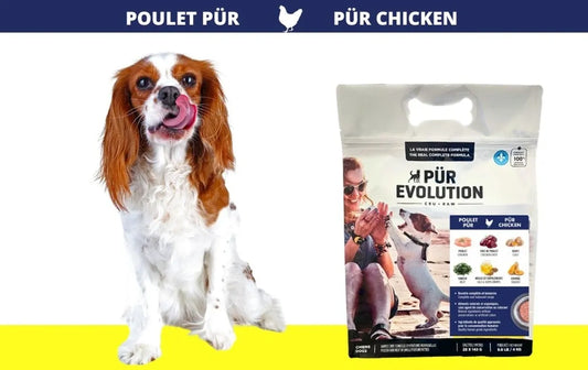 Poulet pür