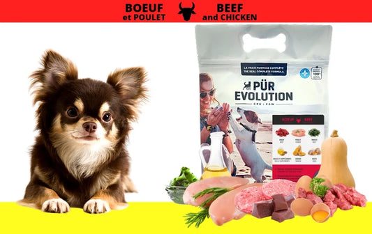 Boeuf & poulet