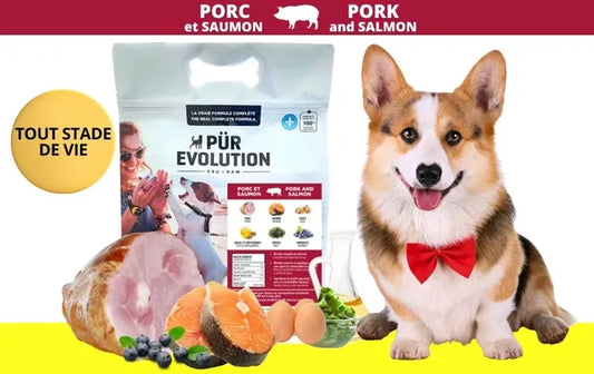 Porc & saumon
