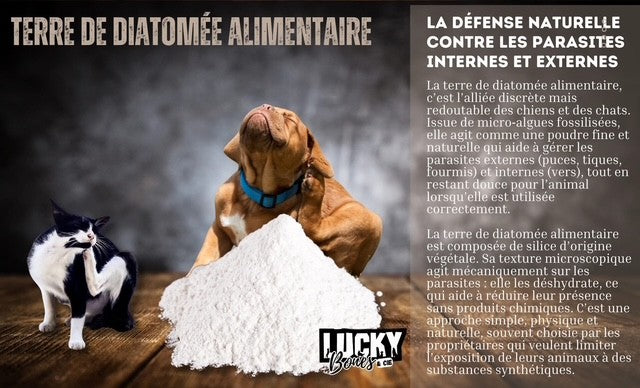 Terre diatomée