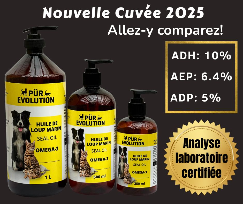 Huile de loup marin